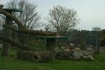 WAN-15042006_-__29.jpg