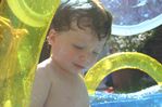 Filename=WAN-03062006_-_20.jpg
Filesize=46KB
Dimensions=640x427
Date added= 5.Jun 2006 WAN-03062006_-_20.jpg