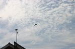 WAN-17-07-2006_-_02.jpg