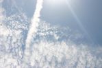 WAN-17-07-2006_-_03.jpg