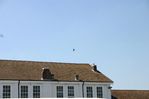 WAN-17-07-2006_-_20.jpg
