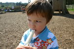 Filename=WAN-15042007_-_16.jpg
Filesize=272KB
Dimensions=800x533
Date added=15.Apr 2007 WAN-15042007_-_16.jpg